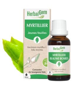 Myrtillier (Vaccinium Myrtillus) j.p.